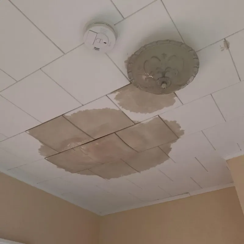 Ceiling Water Damage Repair in Washington, KS
