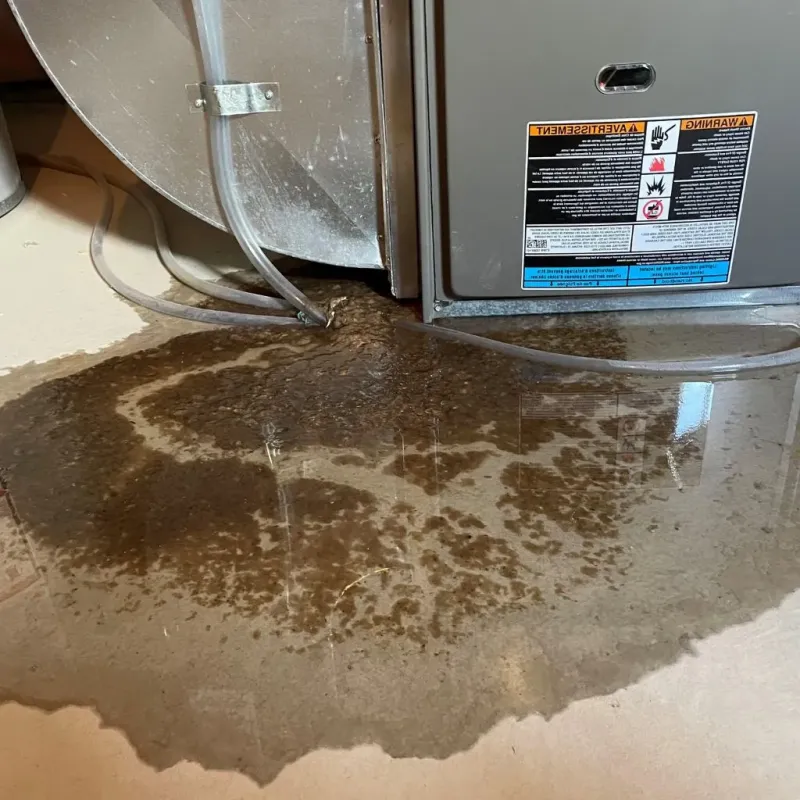 Pipe Burst and Leak Restoration in Washington, KS