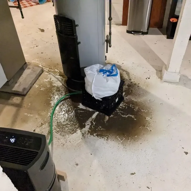 Sewage Backup Cleanup Service in Washington, KS